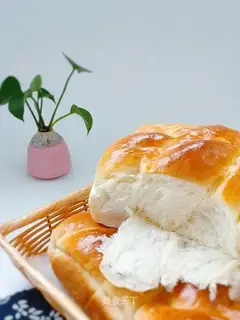 Old lasagna