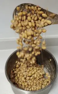 Homemade beans