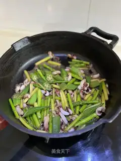 Akiguana squid