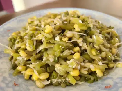 The eggplant sprouts