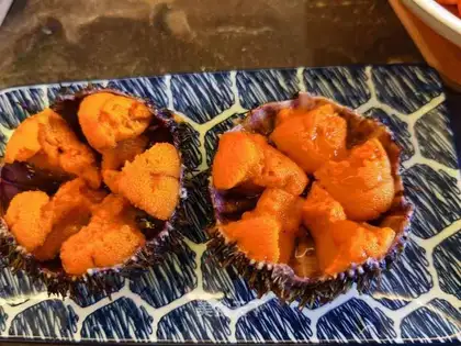 Sea urchins
