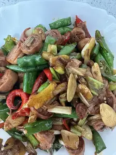 Precious intestines