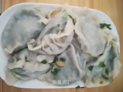 Beef dumplings