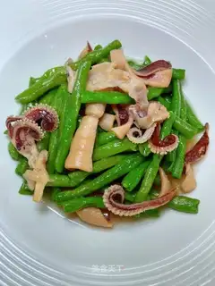 Squid bean horns