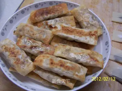 Vegetarian spring rolls