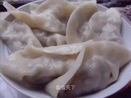 Pork and winter bamboo shoots dumplings