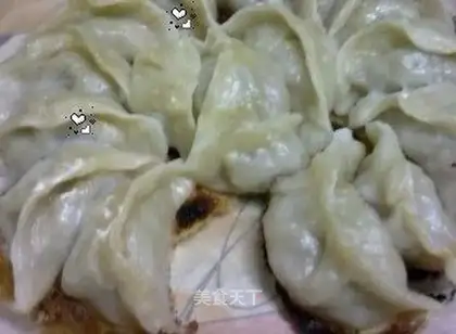 fried dumplings
