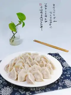 Fresh meat dumplings