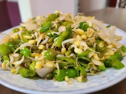 Wireless onion fried green bean sprouts