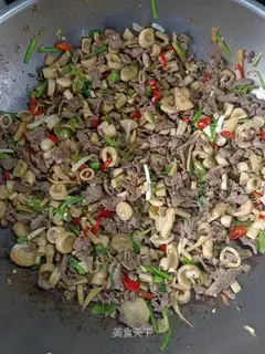 Dry beef