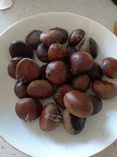 Delicious chestnuts