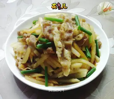 Fat cow radish