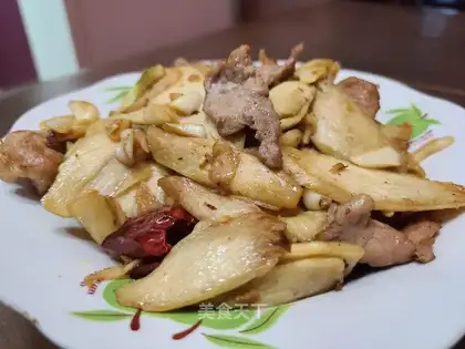 White fried meat