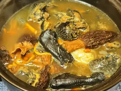The lamb's belly bug, the chicken soup