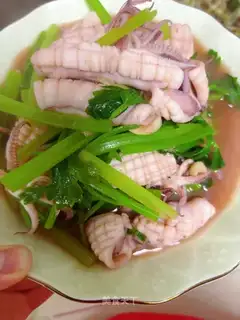 Squid