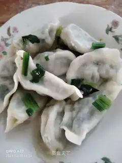 Shrimp dumplings