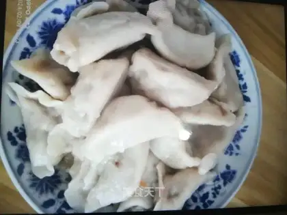 Beef cabbage dumplings