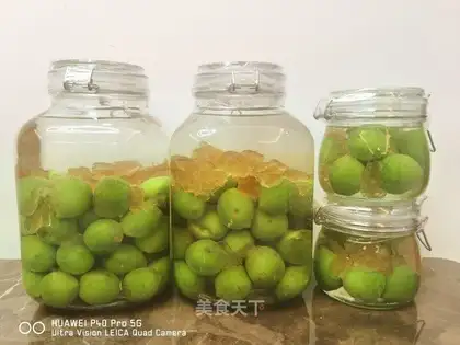 Plum for wine