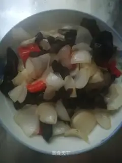 Moose-skin-sprouts
