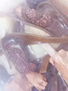 Sheep fungus soup