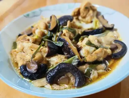 Fung wings of mushrooms