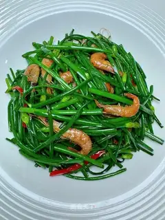 Shrimp