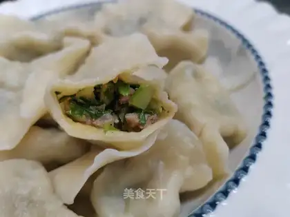 Pork dumplings