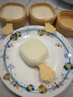 Homemade cheese sticks