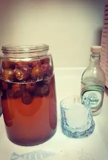Plum yeast