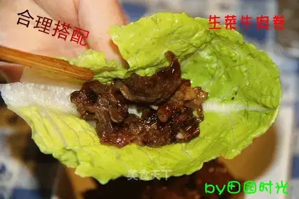 Beef and lettuce roll