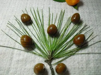 Beer Marinated Egg