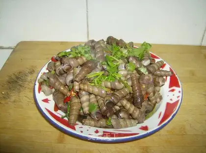 stir-fried snails