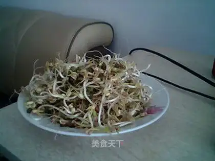 Spontaneous mung bean sprouts