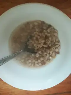 Wheat