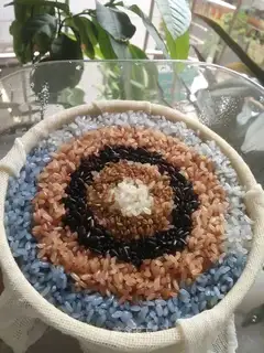 A short version of five-colour rice rice