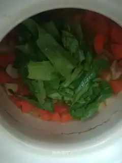 The lamb soup and carrots