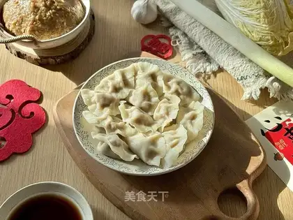 Classic pork cabbage dumplings