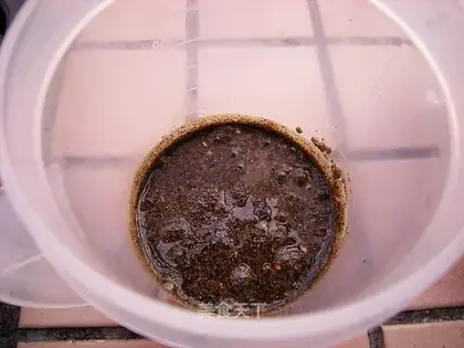 Homemade sesame paste