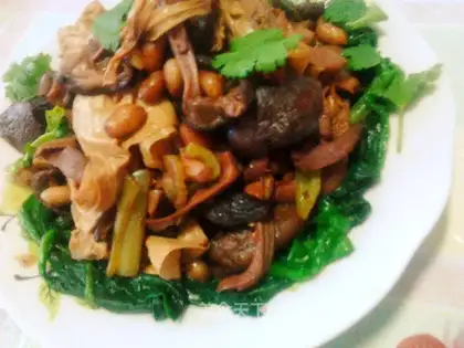 Mushrooms and beans go on spring