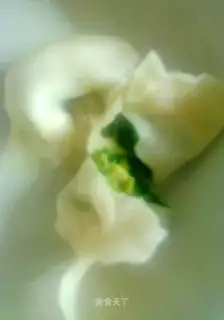 Leek and egg dumplings