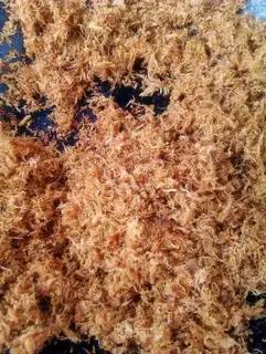 Homemade pork floss