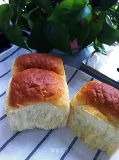 Casta Super Soft Toast
