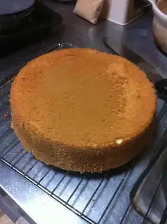 Eight-inch coconut juice Qifeng cake