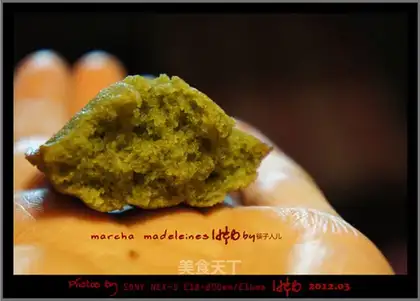 Matcha Madeline