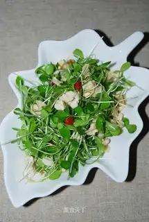 Chinese toon seedlings mixed with walnut kernels