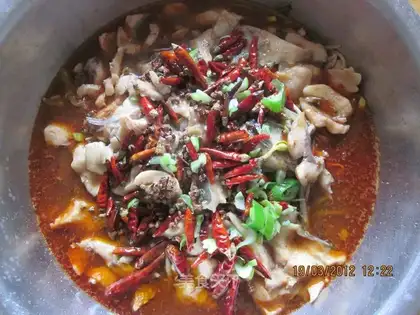 boiled fish