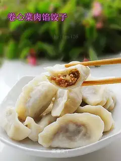 Cabbage meat dumplings