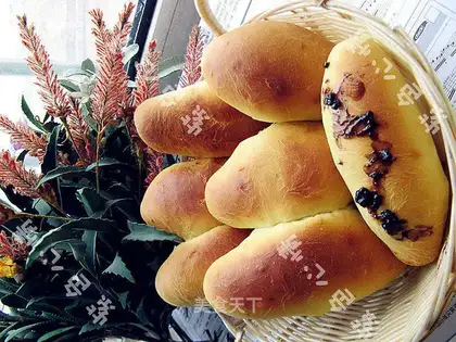 Blueberry buns