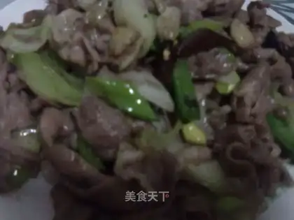lamb with fried green onions