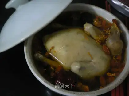 stewed pigeon